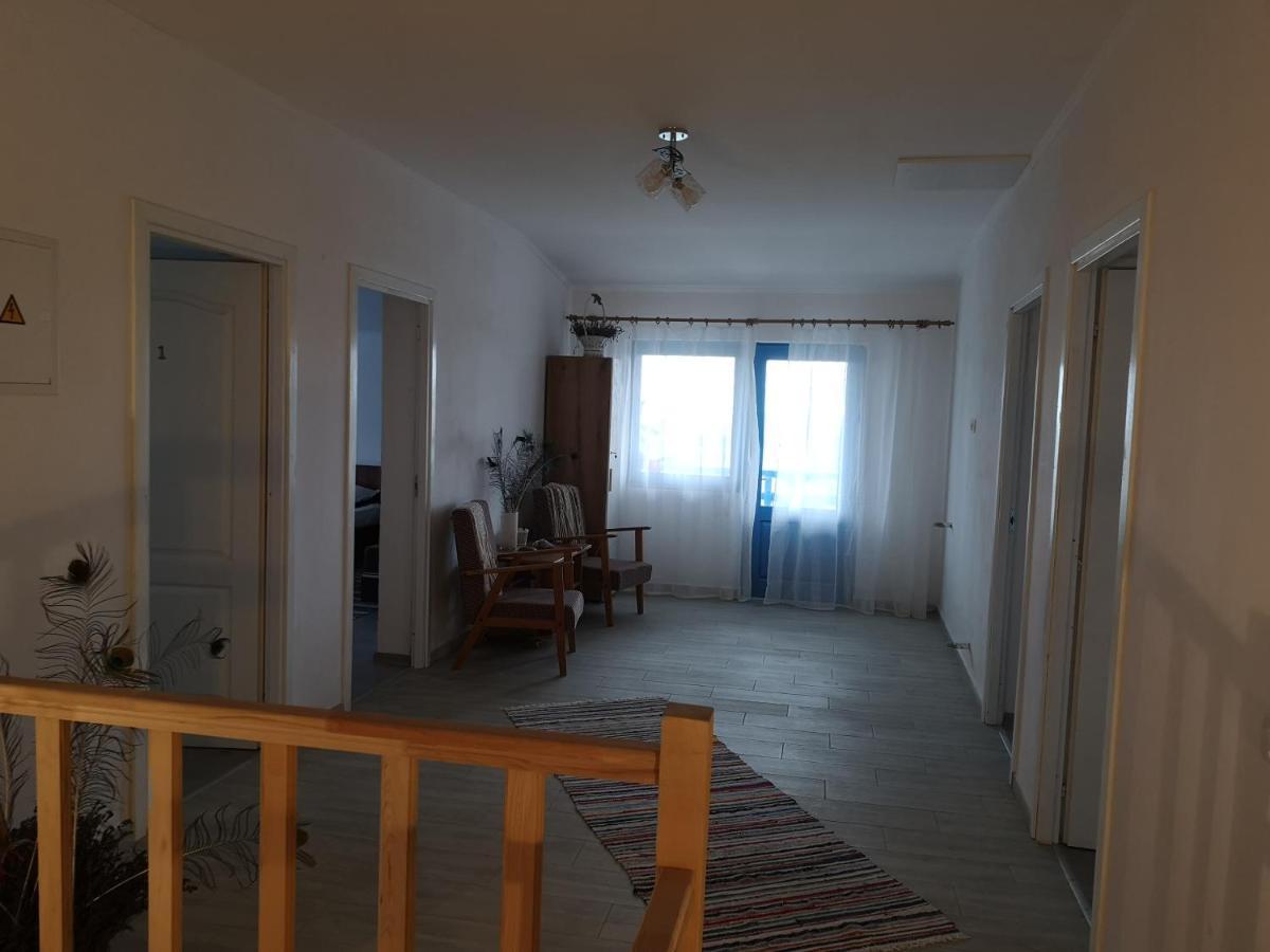 Hotel Casa David Dunavăţu de Sus Zewnętrze zdjęcie