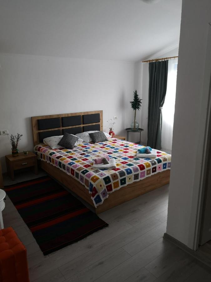 Hotel Casa David Dunavăţu de Sus Zewnętrze zdjęcie