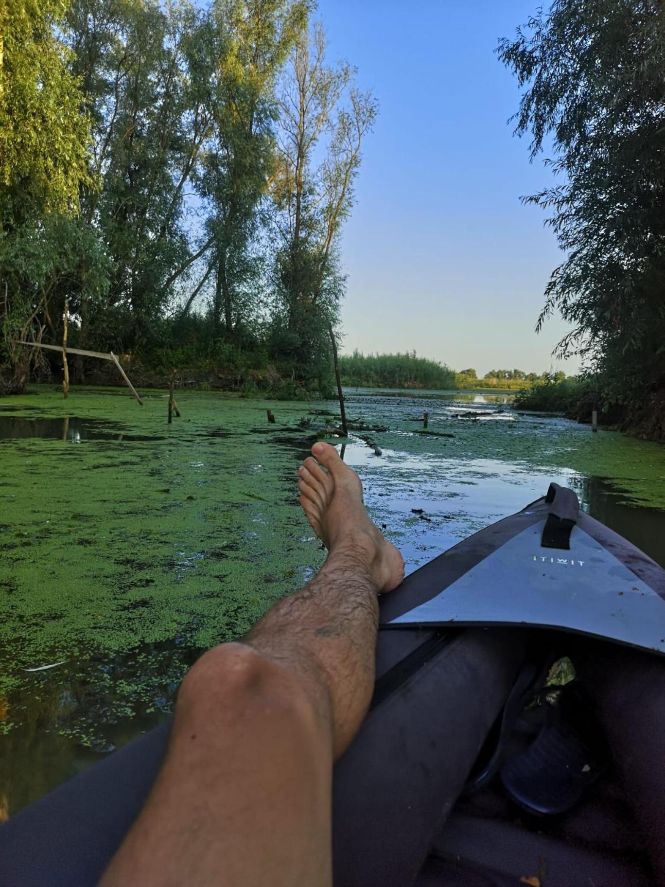 Hotel Casa David Dunavăţu de Sus Zewnętrze zdjęcie