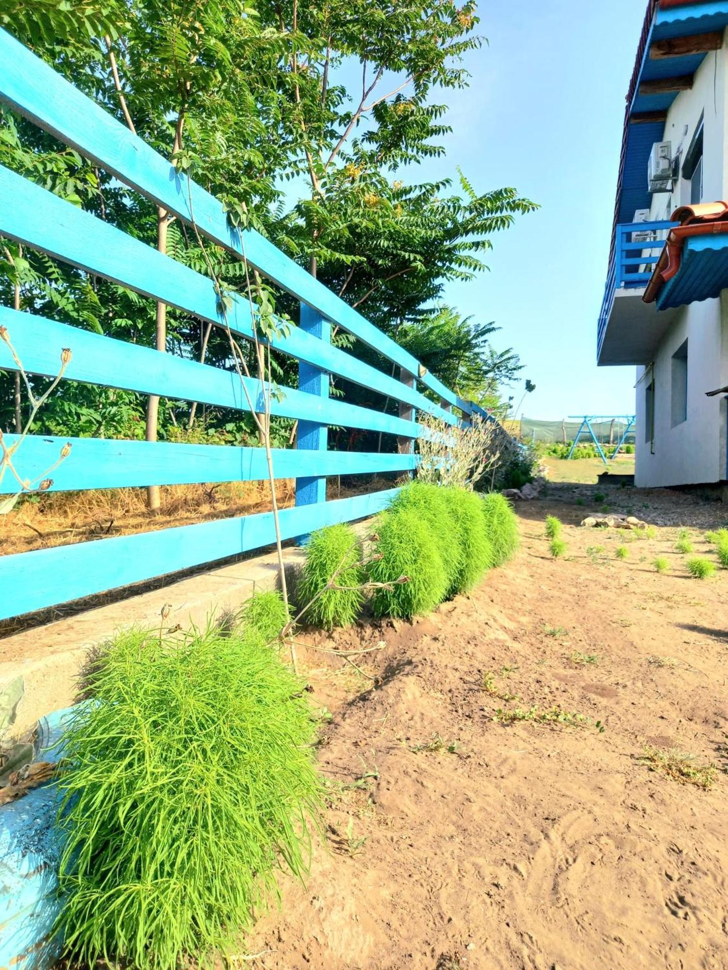 Hotel Casa David Dunavăţu de Sus Zewnętrze zdjęcie