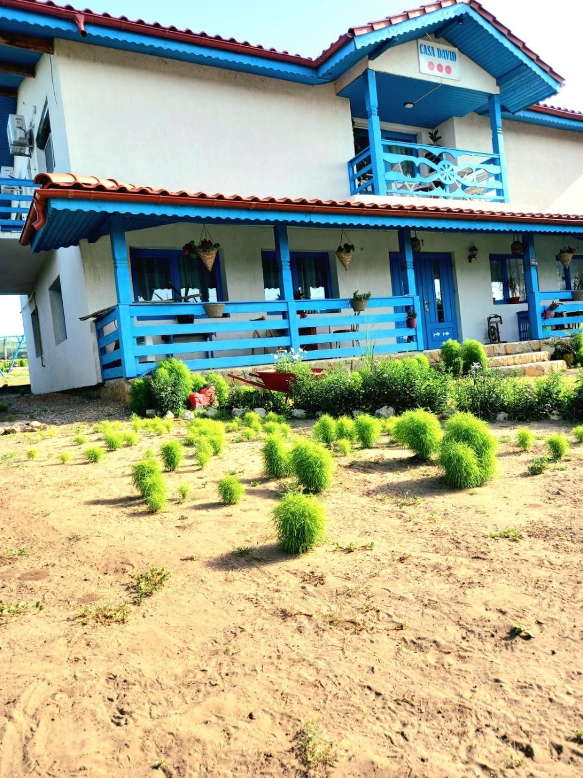 Hotel Casa David Dunavăţu de Sus Zewnętrze zdjęcie